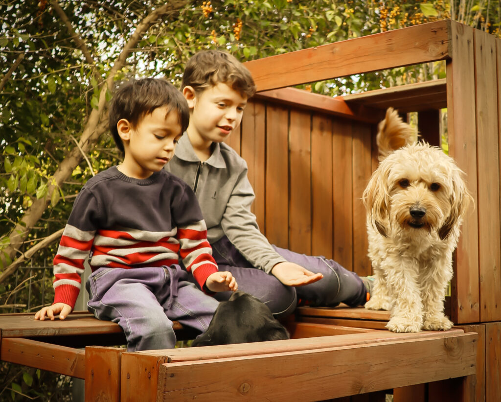 שני ילדים יושבים ומושיטים יד לכלב שעומד לידם