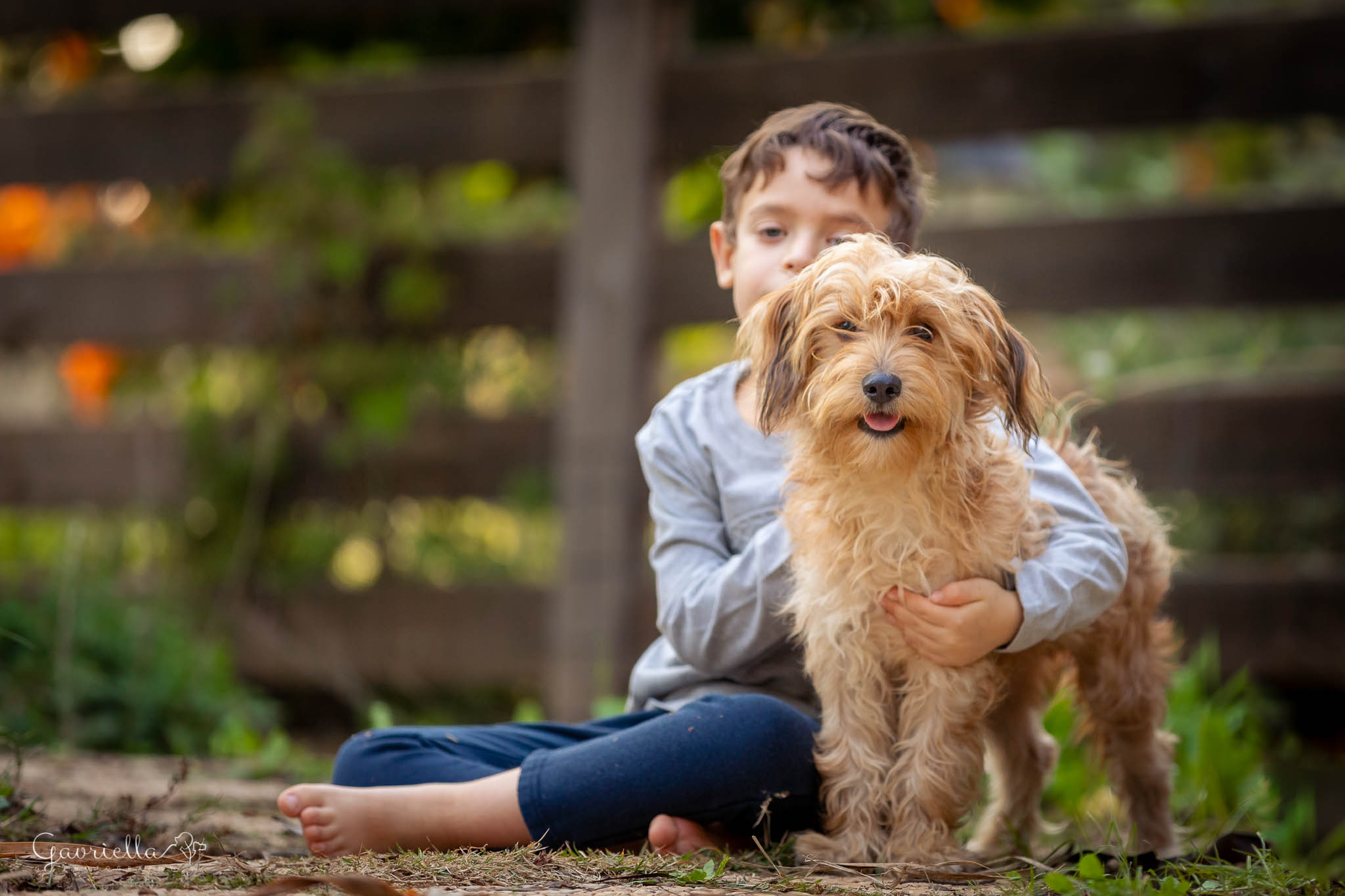 ילד וכלב יושבים בחצר, הילד מחבק את הכלב